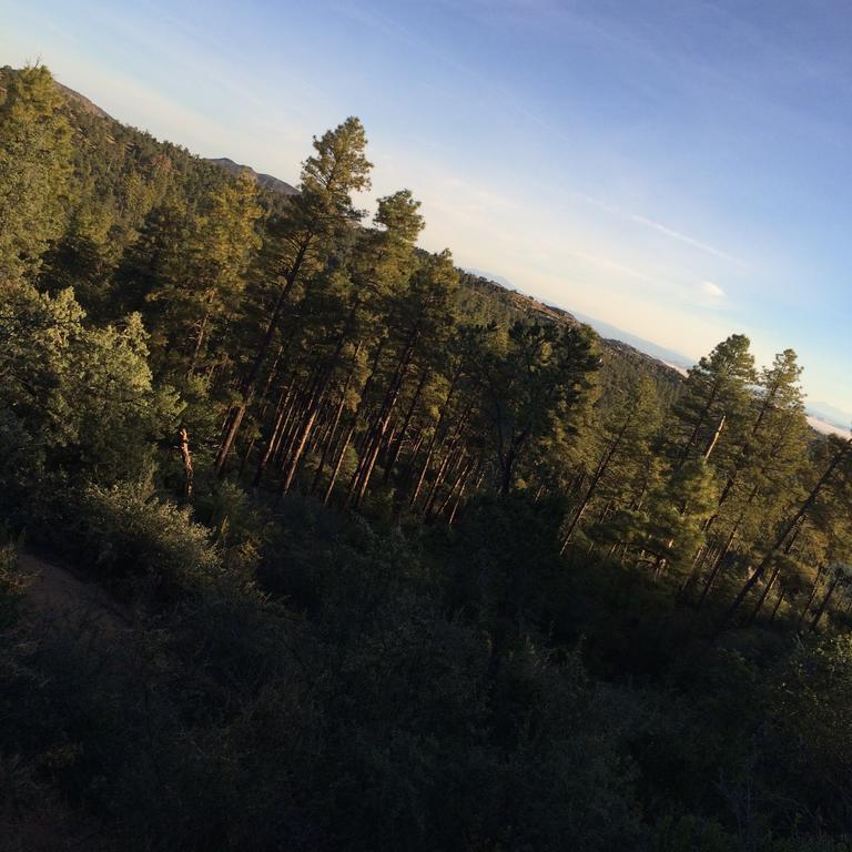 Apple Creek Cottages Prescott Eksteriør billede